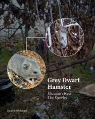 Ukraine Invasion: Part 50