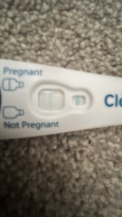 pregnancy teat