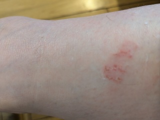 Any idea what this is?