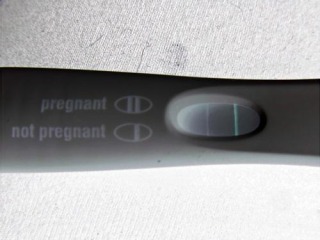 Line eyes - pink or colourless?