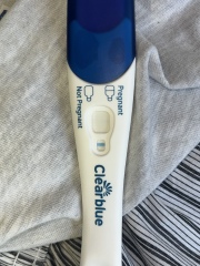 Clear blue test. Evap line or positive