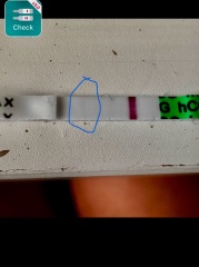 Pregnancy test help