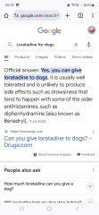 Loratadine for dogs allergies?