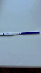10dpo