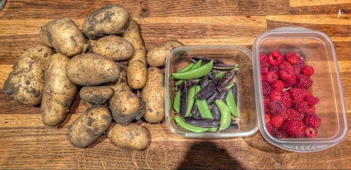 The Vegetable Patch 2024/2025