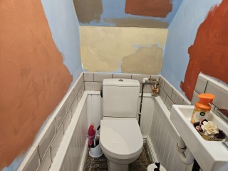 Which of these paint colours for this tiny loo? With pictures