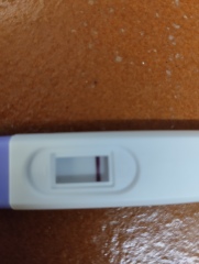 Test looks a bit odd - help!