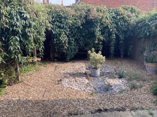 Would anyone like to completely redesign my garden?
