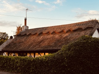 Come and tell me your dull and unexciting news 31: Calmly through the day