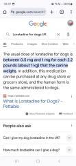 Loratadine for dogs allergies?