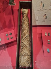 Passports, buckets and spades - the Excellent Cats go on their holidays