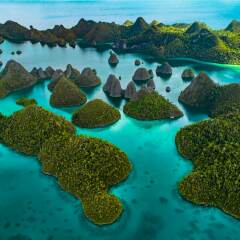 Singapore, Malaysia or Thailand