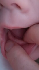 Teething for a Lifetime!