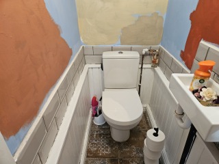 Which of these paint colours for this tiny loo? With pictures