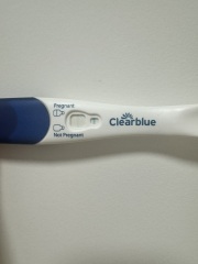 Is this finally it????