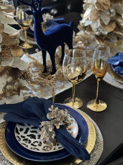 Setting the table for Dinner