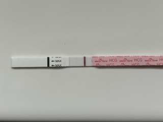 Faint pregnancy tests