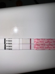 Sorry to be that guy but... is there a shadow of a line here?!