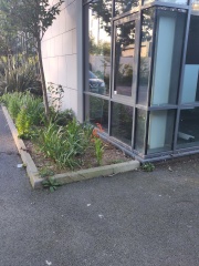 Parking Charge Notice