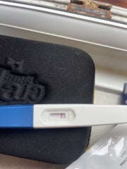 Pregnancy test