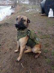 Ukraine Invasion: Part 51