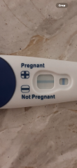 Positive test??