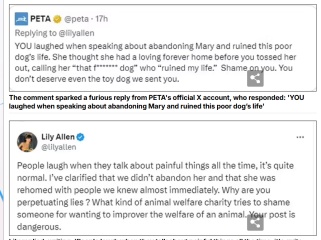 Lily Allen rehomed her dog because it chewed her passport