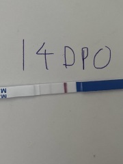 This is a chemical isn’t it?