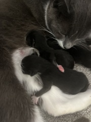 Erm… HELP please!!