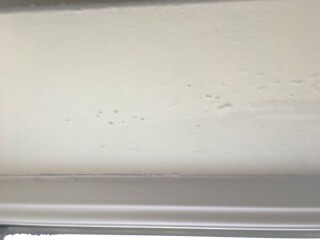 Buying A House with Leaks