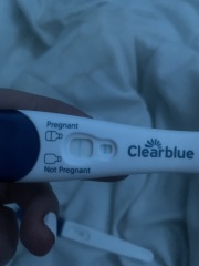 Clear blue test. Evap line or positive