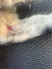 Is this anything to worry about?