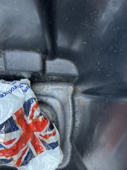 Anyone know what these horrific bin eggs are? *warning* GRIM