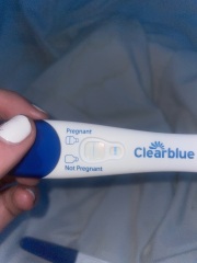 Clear blue test. Evap line or positive