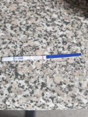 Am I actual pregnant