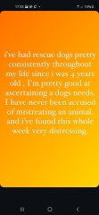 Lily Allen rehomed her dog because it chewed her passport