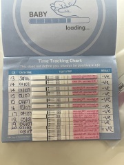 Ovulation after miscarriage