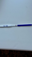 10dpo