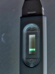 Line eyes - pink or colourless?