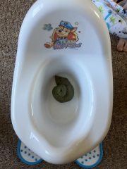 TW / TMI - poo talk / picture - is this a normal poo?