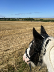 Adult new or returning riders up for a chat?
