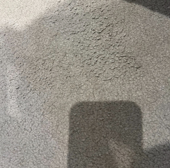 Help! Vacuums not compatible with carpet - Dyson / Sebo