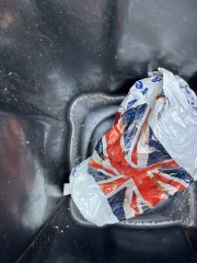 Anyone know what these horrific bin eggs are? *warning* GRIM