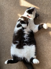 Thread 14 - TalkLair: “What The Hell Are We Supposed To Use, Man? Harsh Language?”