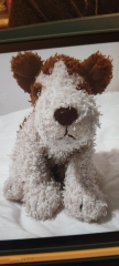 Lost stuffed dog on flight - help!