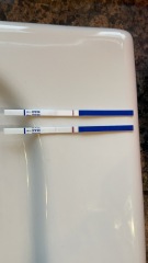 8dpo can anyone see it?