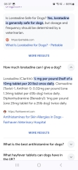 Loratadine for dogs allergies?