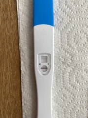 Help!! Am I pregnant 2 weeks after miscarriage?