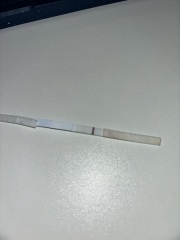 Asda Pregnancy Tests