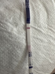 ovulation test detect pregnancy